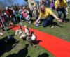 Duck Day Event At Assumption College